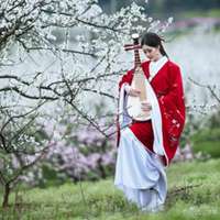 梨花下的美女头像_梨树下的可爱美女头像