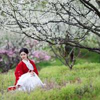 梨花下的美女头像_梨树下的可爱美女头像