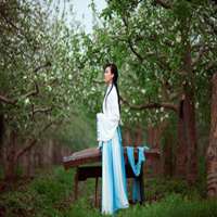 梨花下的美女头像_梨树下的可爱美女头像