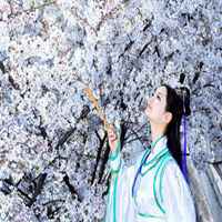 梨花下的美女头像_梨树下的可爱美女头像