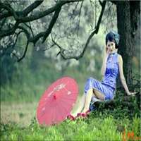 梨花下的美女头像_梨树下的可爱美女头像