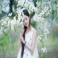 梨花下的美女头像_梨树下的可爱美女头像