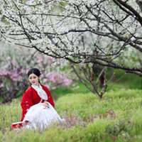 梨花下的美女头像_梨树下的可爱美女头像