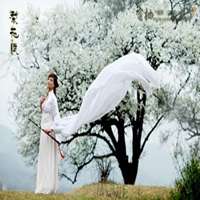 梨花下的美女头像_梨树下的可爱美女头像