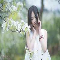 梨花下的美女头像_梨树下的可爱美女头像