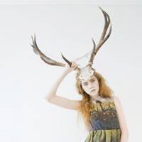 森系麋鹿头像