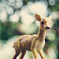 森系麋鹿头像