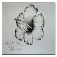 素描鲜花头像图片