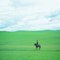 草原头像大全图片大全_一望无际绿色大草原头像图片