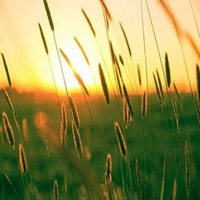 诗和远方头像_旅行诗和远方文字头像图片