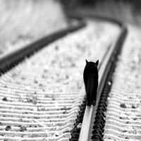 诗和远方头像_旅行诗和远方文字头像图片