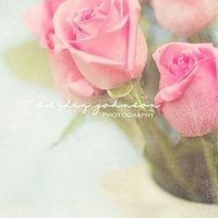 诗和远方头像_旅行诗和远方文字头像图片