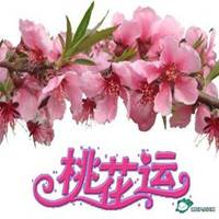 走桃花运头像_男人要走桃花运适用头像图片