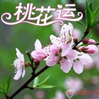 走桃花运头像_男人要走桃花运适用头像图片