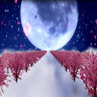 走桃花运头像_男人要走桃花运适用头像图片