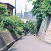 夏天景色风景头像_关于夏天清爽风景的头像图片