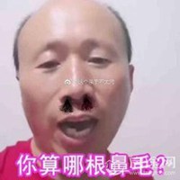 雄鹰高飞表情包头像图片