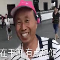 雄鹰高飞表情包头像图片