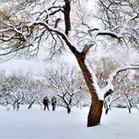 雪景头像图片_茫茫白雪雪景头像