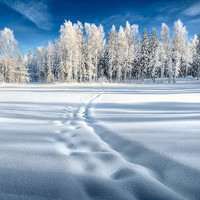 雪景头像图片_茫茫白雪雪景头像