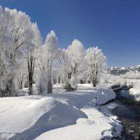 雪景头像图片_茫茫白雪雪景头像