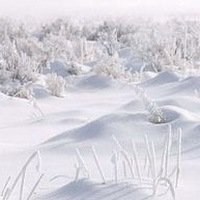 雪景头像图片大全大图