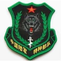 帅气特种兵头像