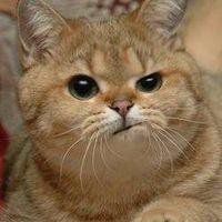 宿舍头像搞笑图片