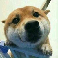 宿舍头像搞笑图片