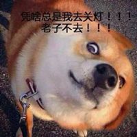 宿舍头像搞笑图片