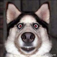 宿舍头像搞笑图片