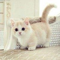 宿舍头像搞笑图片