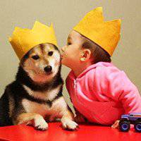 小朋友头像搞笑图片