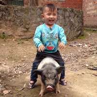 小朋友头像搞笑图片