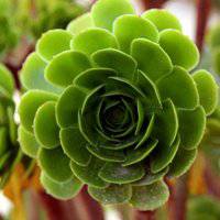 微信下载头像搞笑图片