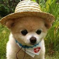 微信下载头像搞笑图片