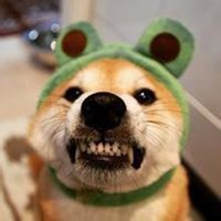 微信下载头像搞笑图片