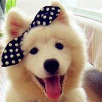 微信下载头像搞笑图片