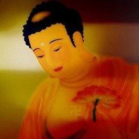 微信头像意境禅意