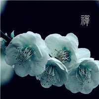微信头像意境禅意