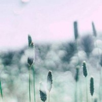 意境头像风景图片大全