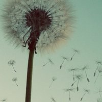 意境头像风景图片大全