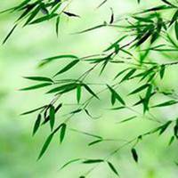 意境头像风景图片大全