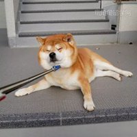 治愈系笑容头像