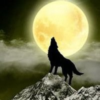 炫酷壁纸头像图片大全