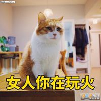 自己头像做成表情包