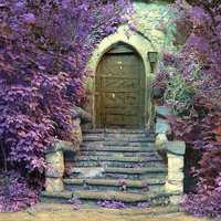 薰衣草头像图片大全