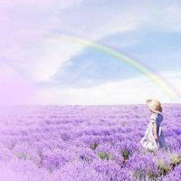 薰衣草头像图片大全