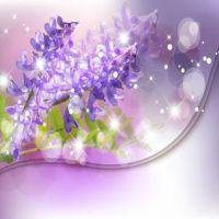 薰衣草头像图片大全