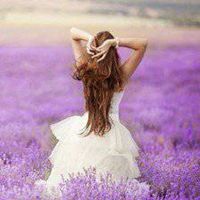 薰衣草头像图片大全